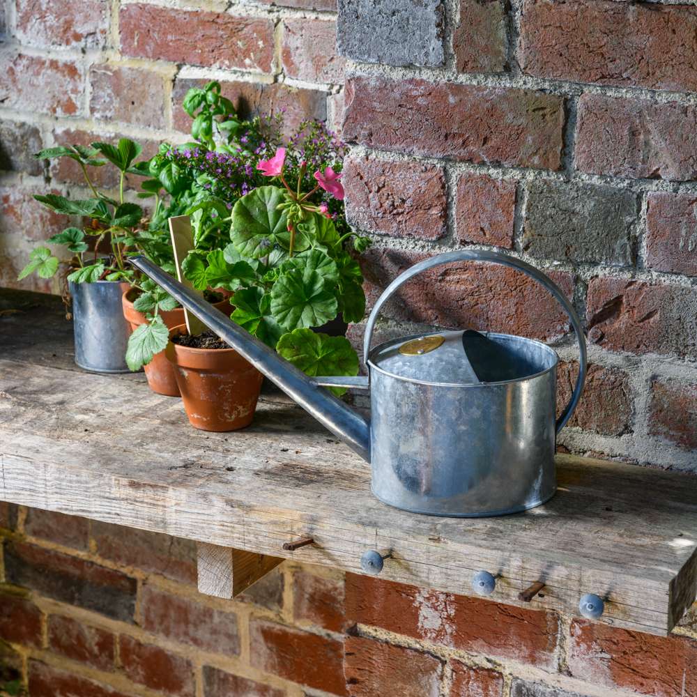 Burgon & Ball Galvaniseret vandkande